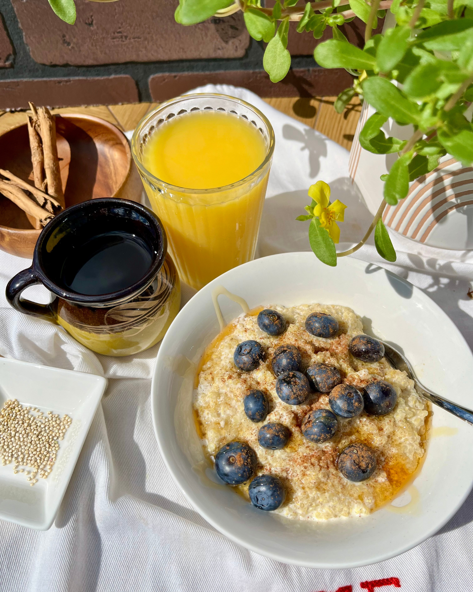 Coco Quinoa Porridge, coconut milk porridge with blueberries, honey and cinnamon